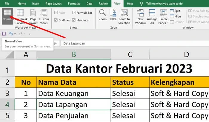 Cara Menghilangkan Tulisan Page 1 di Excel 2007, 2010 dan 2013